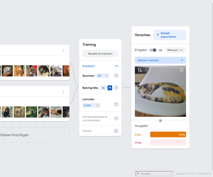 Machine Learning mit Teachable Machine