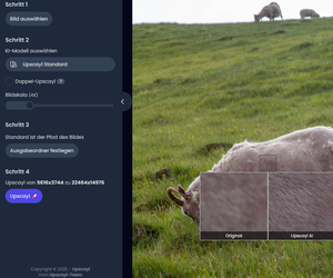 Bilder hochskalieren